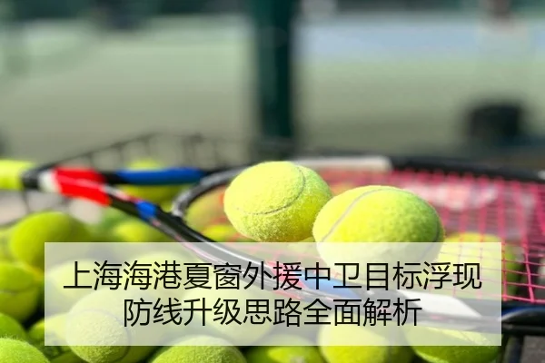 上海海港夏窗外援中卫目标浮现 防线升级思路全面解析