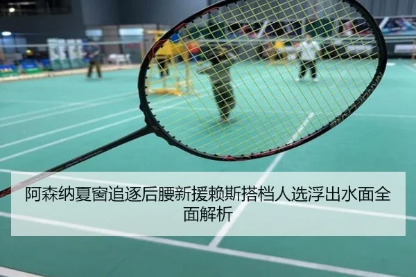 阿森纳夏窗追逐后腰新援赖斯搭档人选浮出水面全面解析