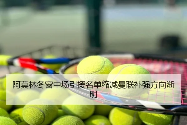 阿莫林冬窗中场引援名单缩减曼联补强方向渐明
