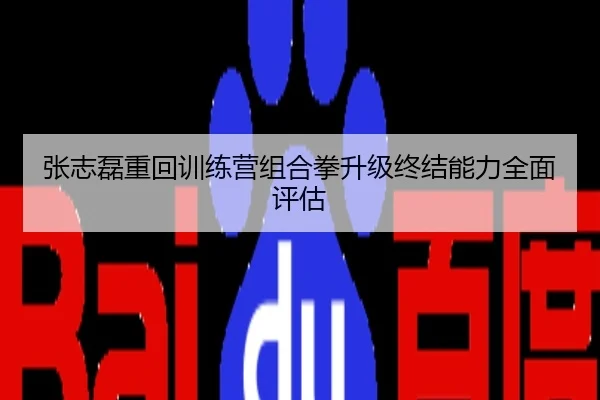 张志磊重回训练营组合拳升级终结能力全面评估