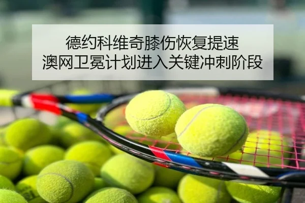 德约科维奇膝伤恢复提速 澳网卫冕计划进入关键冲刺阶段